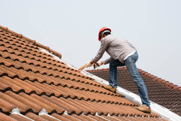Best Roof Maintenance and Cleaning  in Morgans Point Resort, TX